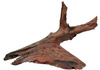 ZOLUX Ozdoba do akwarium korzeń Mangrowca 25-40 cm