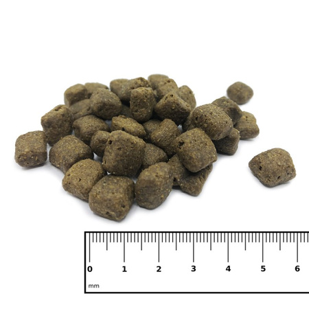 ICEPAW Insect Pure karma z owadów dla dorosłych psów (2 kg)