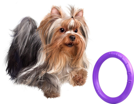 PULLER Mini dla psów małych ras