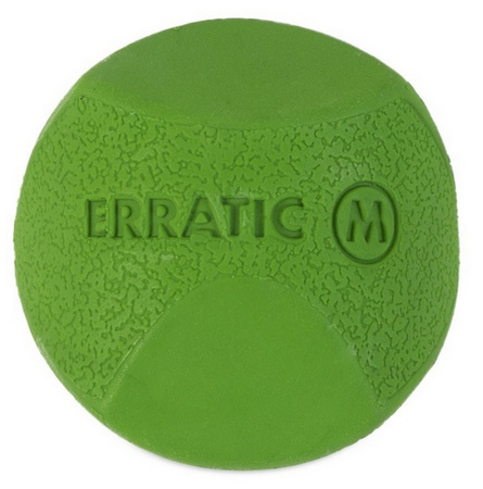 Chuckit! Erratic Ball Medium [201101]