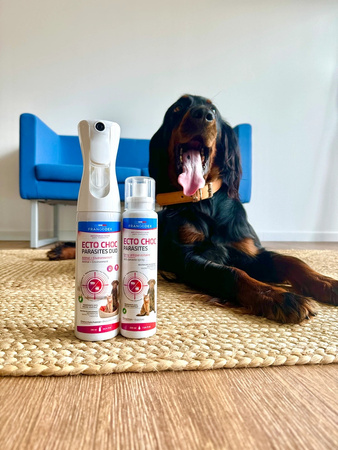 FRANCODEX Mgiełka na pasożyty dla psa i kota ECTO CHOC PARASITES DUO 290 ml