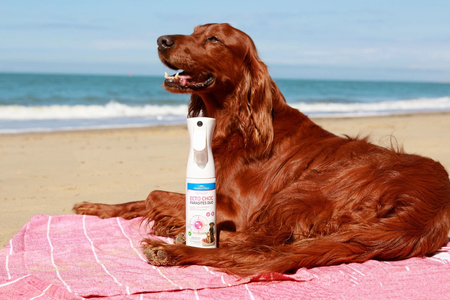 FRANCODEX Mgiełka na pasożyty dla psa i kota ECTO CHOC PARASITES DUO 290 ml