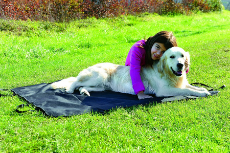 ZOLUX Pokrowiec do samochodu na tylne siedzenia dla psa