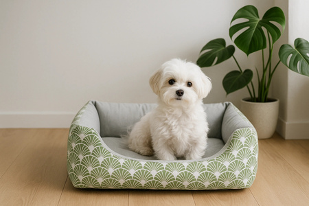 Zolux Legowisko dla psa ONE KIWI 53 cm