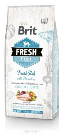 Brit Fresh Dog Adult Large Fish & Pumpkin 12kg