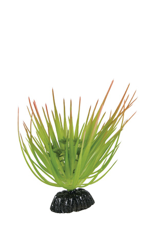 Zolux Ozdoba do akwarium rośliny Tropical 13 cm