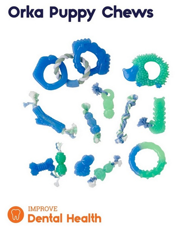 PETSTAGES GROW WITH ME RING  PS68028