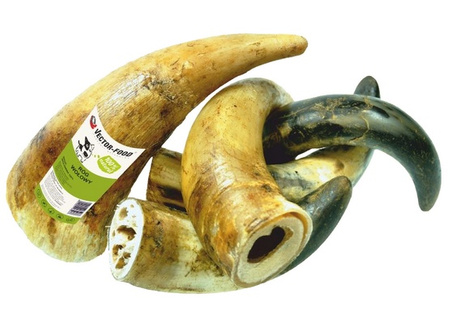 Vector-Food Róg wołowy mały 1szt