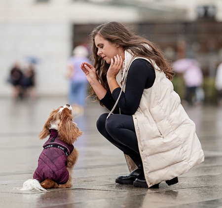 CHABA KUBRAK REGULOWANY CHIC `3XL` BORDOWY 49cm