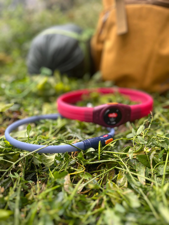 ZOLUX Obroża LED dla psa świecąca silikonowa sierść długa BIVOUAK czerwona