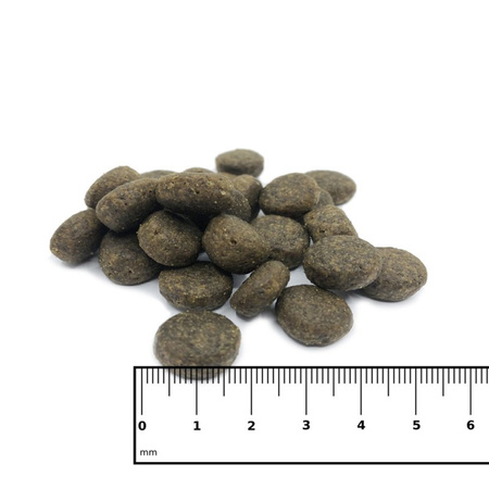 ICEPAW Nordic Pure łosoś karma dla dorosłych psów (2 kg)