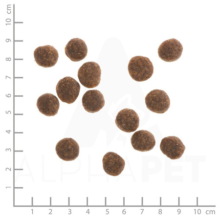 WILDES LAND DOG Ente - kaczka z ziemniakami i ziołami (1kg)