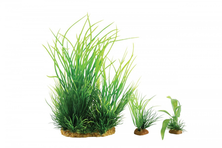 Zolux Ozdoba do akwarium rośliny PLANTKIT WIHA model 1