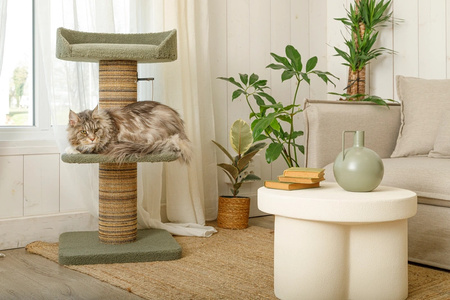 ZOLUX Drapak dla kota BOREAL 95 cm zielony