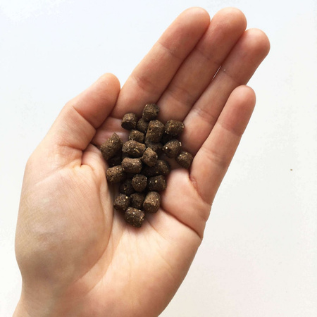 TENETRIO Gemüse Garten MINI karma z owadami i warzywami 650g