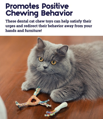 PETSTAGES GRYZAK DO HIGIENY KOCICH ZĘBÓW PS326