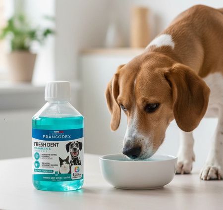 FRANCODEX PL Płyn dla psa i kota do higieny jamy ustnej Fresh dent 500 ml