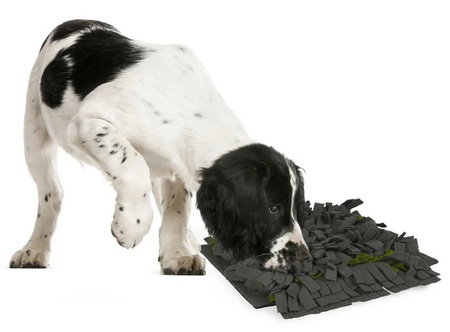 Flamingo Mata węchowa Amigo duża [518998]