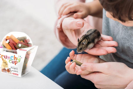 ZOLUX Przysmak naturalny dla gryzoni CRUNCHY CUP lucerna marchew burak 180g