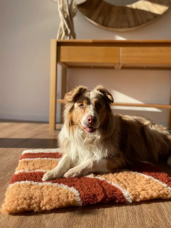 Zolux Dry bed posłanie izolujące dla psa wzór tęczy 50x70 cm