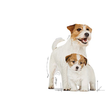 Royal Canin Starter Mother&Babydog karma mokra - mus, dla suk w czasie ciąży, laktacji oraz szczeniąt puszka 195g