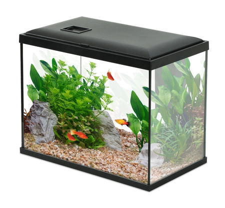 ZOLUX Akwarium INITIO 35 z filtrem kaskadowym 30 i LED 18L czarne + GRATIS 854250+352166+352189+352213+352216