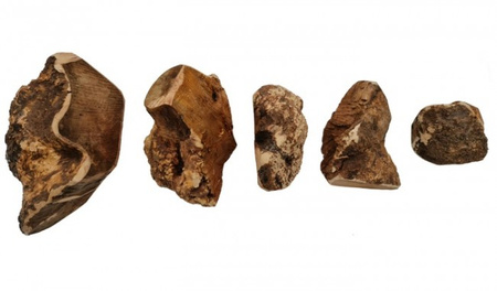 4DOGS Gryzak z korzenia drzewa wrzosowego S