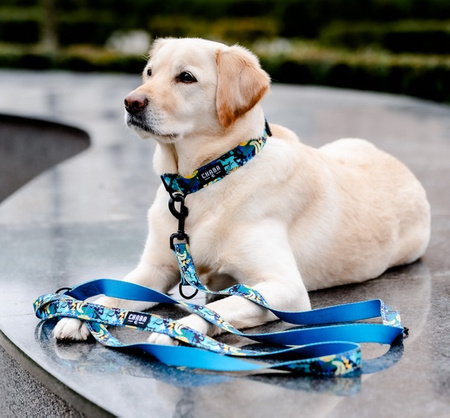 CHABA Obroża regulowana Story III XL Carnival