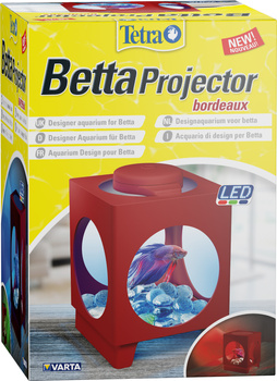 *- Tetra Betta Projector bordeaux 1,8 l - akwarium kol. bordowy