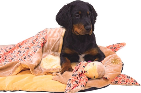 Zolux Zabawka pluszowa dla psa CHIQUITOS leniwiec ze sznurkiem 12x7,7x22,5