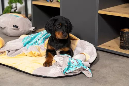 Zolux Zabawka pluszowa dla psa CHIQUITOS leniwiec ze sznurkiem 12x7,7x22,5