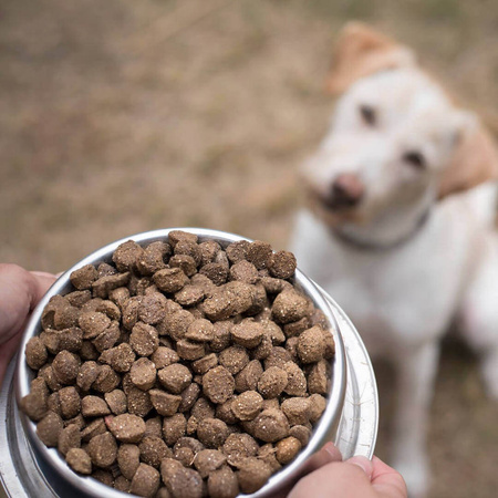 TENETRIO Gemüse Garten owady warzywa 5 kg