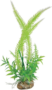 ZOLUX Ozdoba do akwarium kompozycja roślin średnia