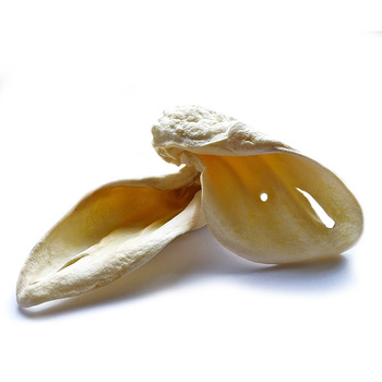 ARAMI A USZY WOŁOWE BIAŁE (op. 50 szt.)