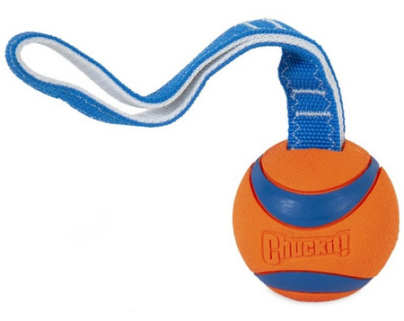 Chuckit! Ultra Tug Large [231301]