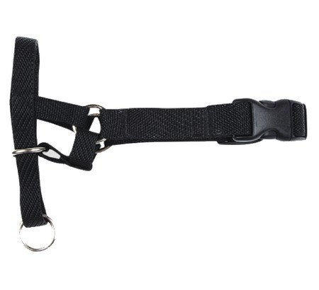 CHABA KAGANIEC  TRENINGOWY NR 6