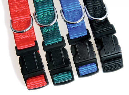 Zolux Obroża dla psa nylonowa taśma 25/35cm 10mm kol. niebieski