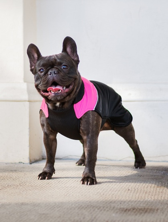 CHABA KUBRAK REGULOWANY MAGNIFIQUE `2XL` PINK BLUSH