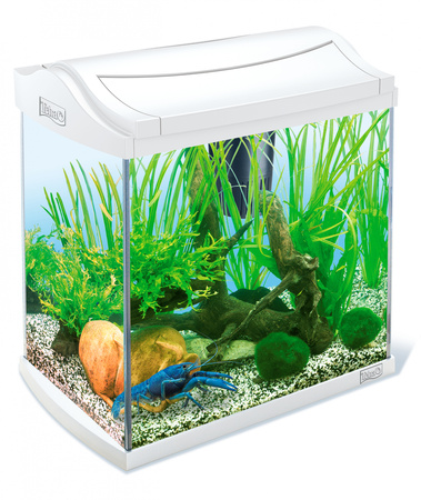 *- Tetra AquaArt Discovery Line Crayfish Set white 30 L-Zestaw do hodowli krewetek i krabów