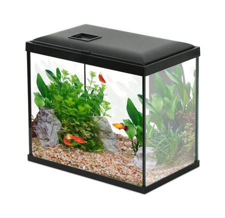 ZOLUX Akwarium INITIO 30 z filtrem kaskadowym 30 i LED 13L czarne + GRATIS 854250+352166+352189+352213+352216