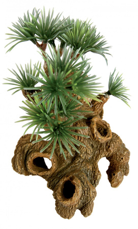 Zolux Ozdoba do akwarium "Bonzai" miniatura