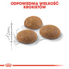 Royal Canin Outdoor karma sucha dla kotów dorosłych, wychodzących na zewnątrz 4kg