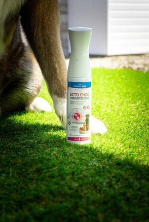 FRANCODEX Mgiełka na pasożyty dla psa i kota ECTO CHOC PARASITES DUO 290 ml