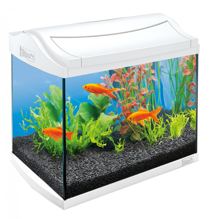*- Tetra AquaArt Discover Line Aquarium Complete Set 20L white 20L, white-Zestaw akwariowy biały