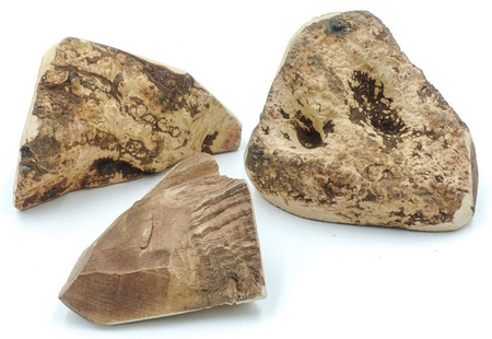 4DOGS GRYZAK DLA PSA Z KORZENIA WRZOŚCA XL