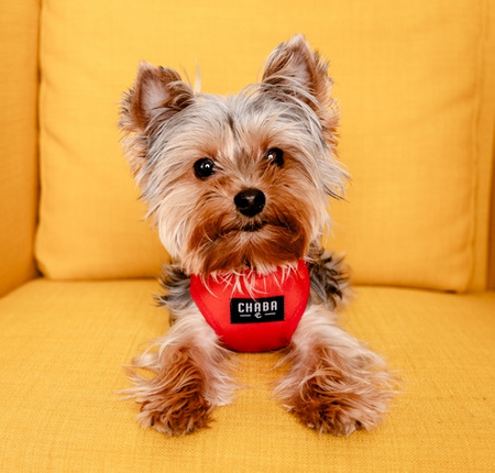 CHABA Szelki Guard Comfort Classic XL czerwone