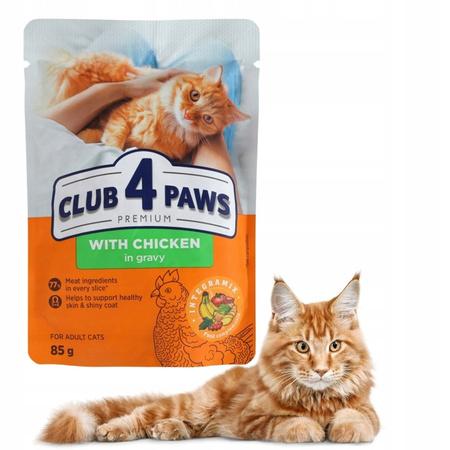 CLUB4Ł KOT sasz.85g KURCZAK w sosie