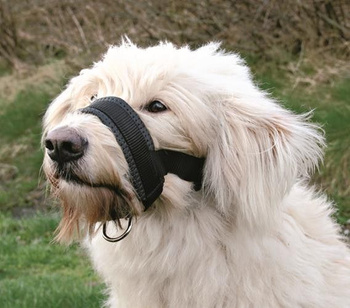 TX-19281 KAGANIEC NYLON REG NR 1 M-L       22-30cm