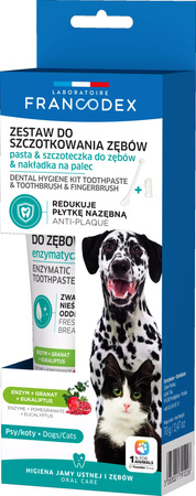 FRANCODEX PL Zestaw szczoteczka i pasta enzymatyczna do czyszczenia zębów