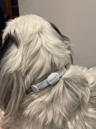 FRANCODEX PL Obroża na kleszcze PREVENDOG 60 cm dla psów do 25 kg - 1 szt